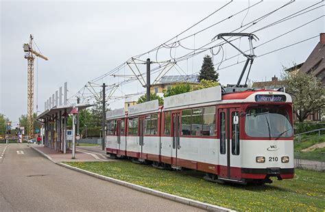 rvf freiburg preis