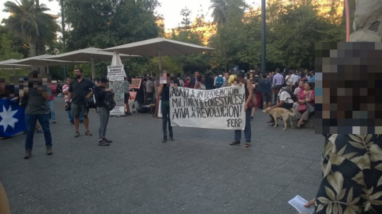 Chile FERP Zwischenkundgebung Mapuche Wald