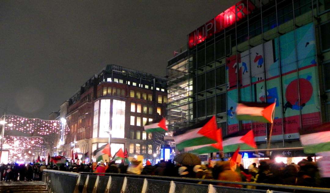 Hamburg Palästinademo Januar 2024 3