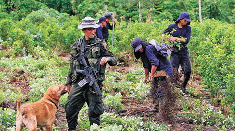 Tumaco massacre 2